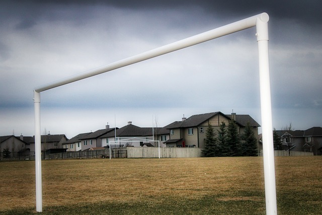 官方：诺里斯确认明年将使用1号作为自己的车号